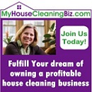 How Do I Achieve Successful Management ofResidential and Commercial Cleaning at the Same Time?