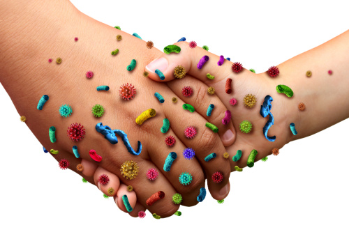 The Importance of Hand Washing