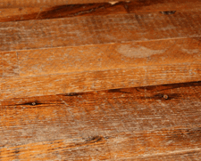 Heavily Worn Hardwood Floor