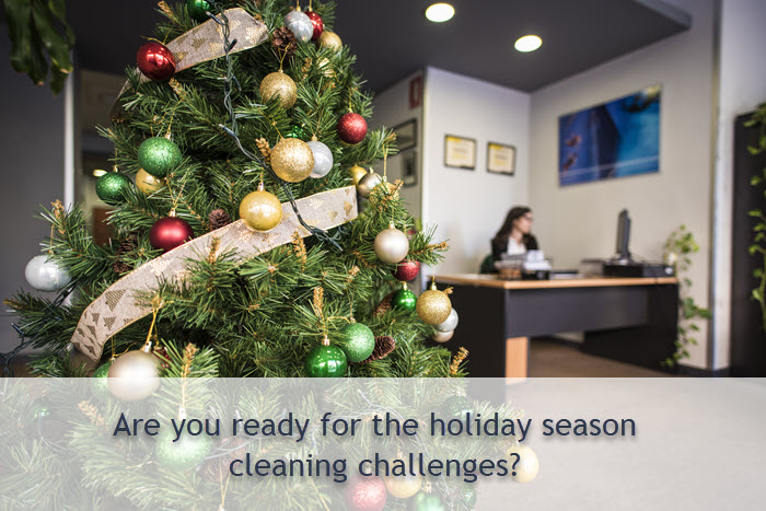 Holiday Cleaning&##x3a; Tips to Survive the Season