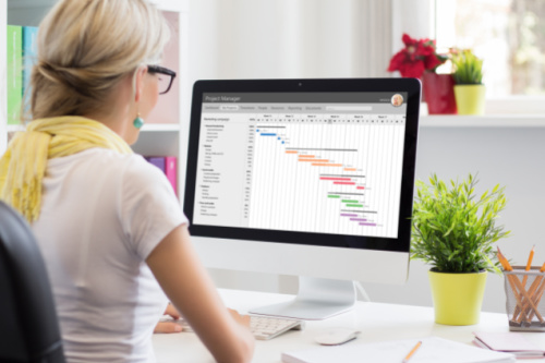 Business Software - It Pays to do Your Research